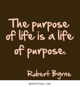 the  purpose of life is  a life with purpose