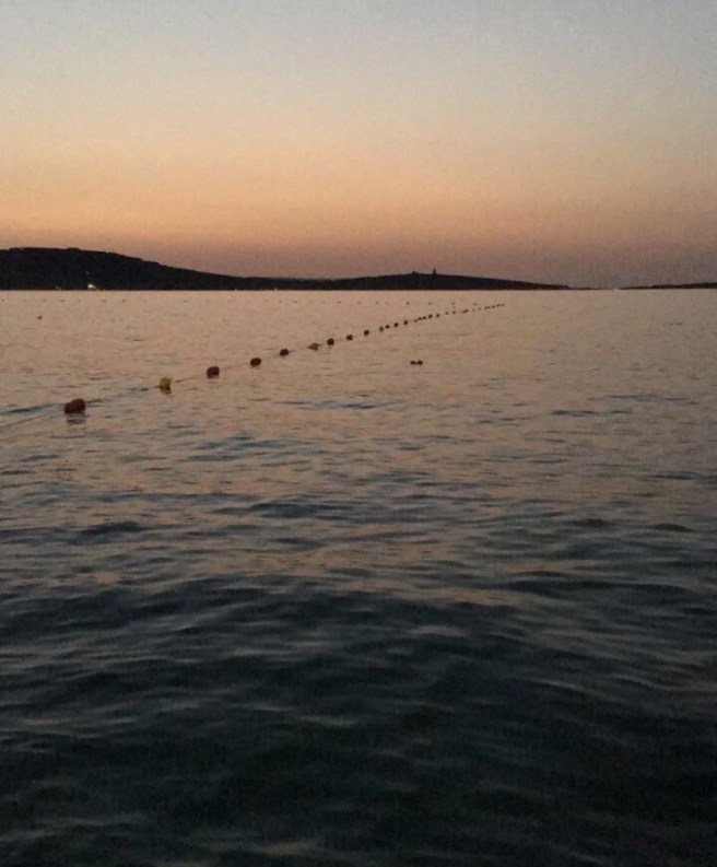 The oceans effect is so calming